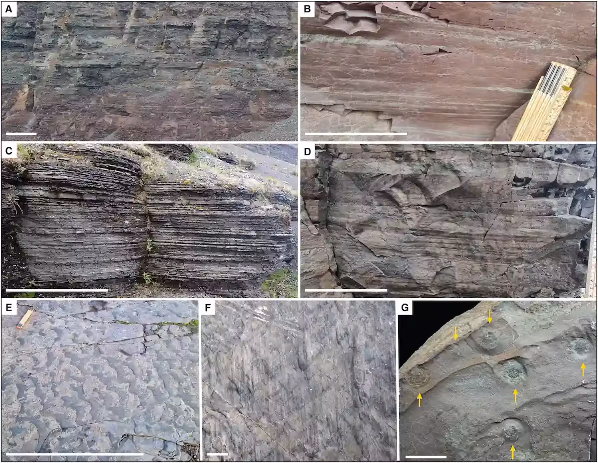 Sedimentary Features Found At Blåberget And Kommagnes.