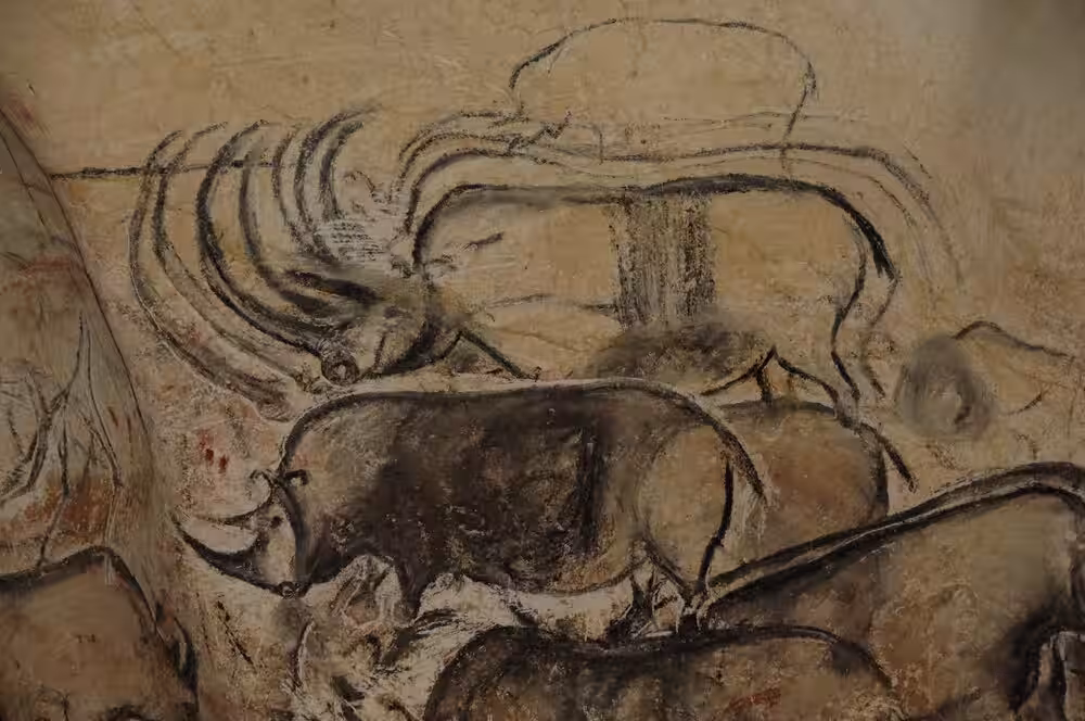 Ancient Animal Figures Sweep Across The Cave Wall In Layered Charcoal Lines