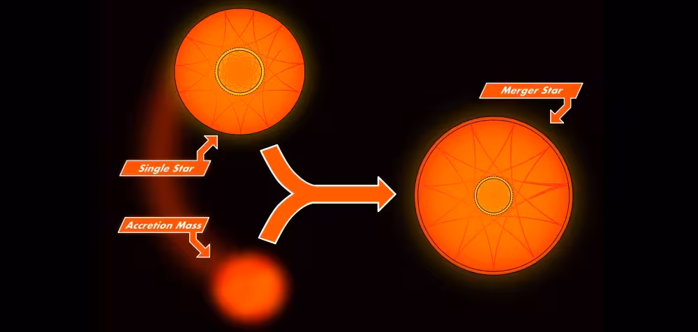 Grand Theft Astro. Illustration of a single star gaining mass, becoming a merger star.