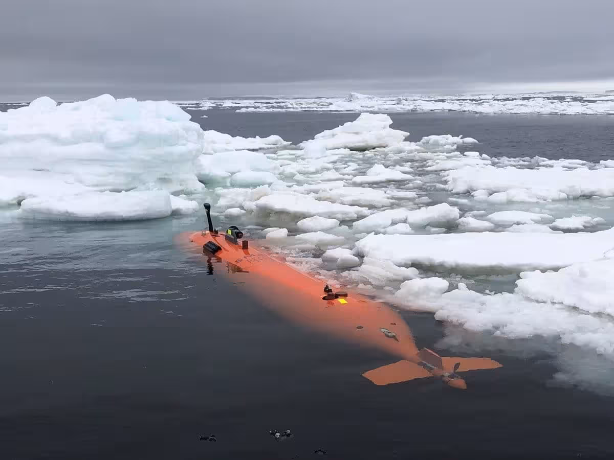 The Expedition Was Carried Out In Regions Of Drifting Ice In West Antarctica In 2022