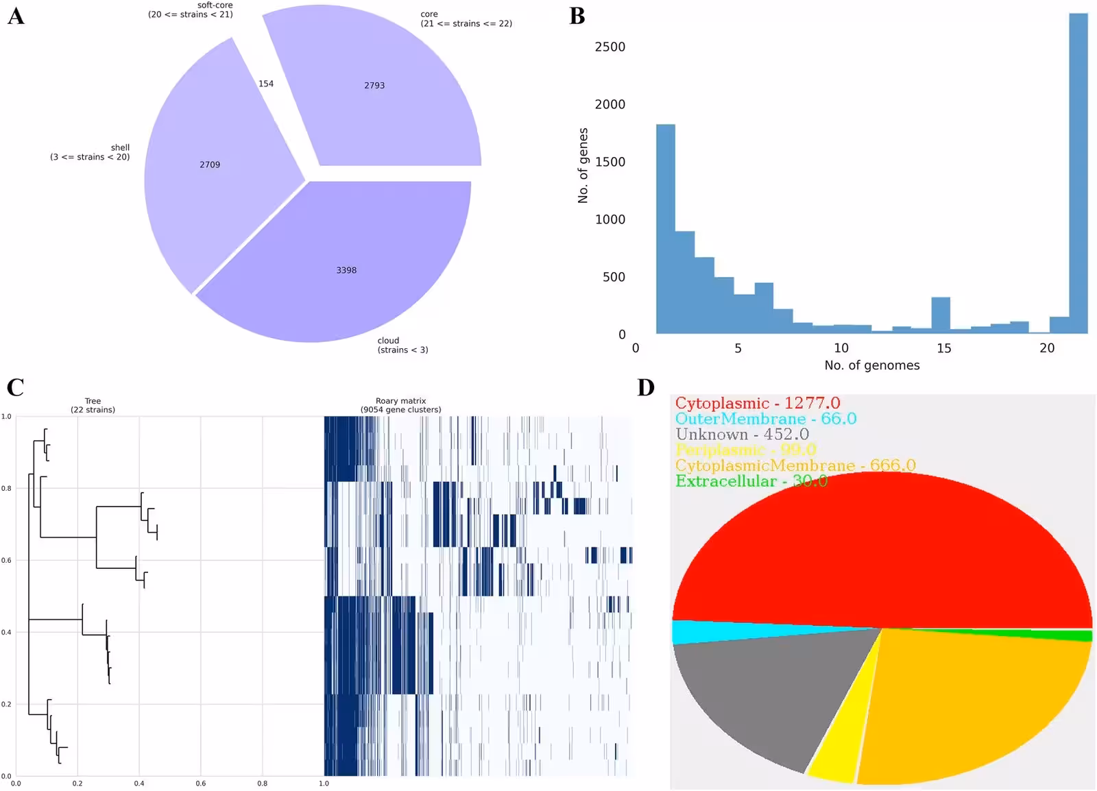 Figure 2: Four panels show gene counts across 22 genomes, gene-family prevalence, a clustered heatmap, and protein subcellular localization. A. The bar graph represents the relationship between the number of genes present in each of the 22 genomes considered. B. The pie chart illustrates the distribution of gene families across 22 strains, categorized into four groups based on their prevalence. The core genome (2,793 genes) includes genes present in all or nearly all strains (21–22 strains). The soft-core genome (154 genes) comprises genes found in 20 strains. The shell genome (2,709 genes) includes genes present in 3–19 strains, while the cloud genome (3,398 genes) represents rare genes found in fewer than 3 strains. This distribution highlights a substantial accessory genome, suggesting high genomic diversity and adaptability within the species. C. The provided image depicts a clustered heatmap integrated with dendrograms, which is a widely employed visualization technique for representing clu