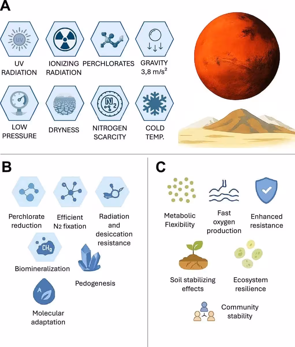 Overview Of Microbial Roles And Benefits For Terraforming Mars.
