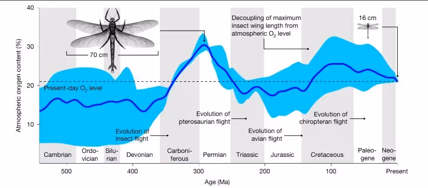 A Graph Showing Changes In Earth’s Atmospheric Oxygen Levels Over The Past 550 Million Years