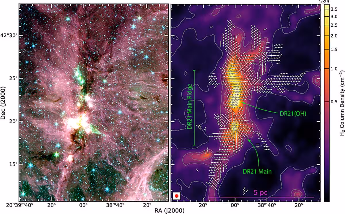 Magnetic Field Structure Across The Dr21 Star Forming Complex