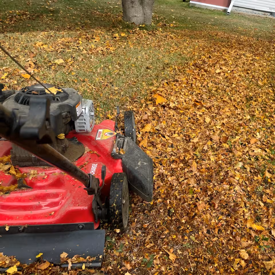 Running Fallen Leaves Through A Mower May Seem Harmless