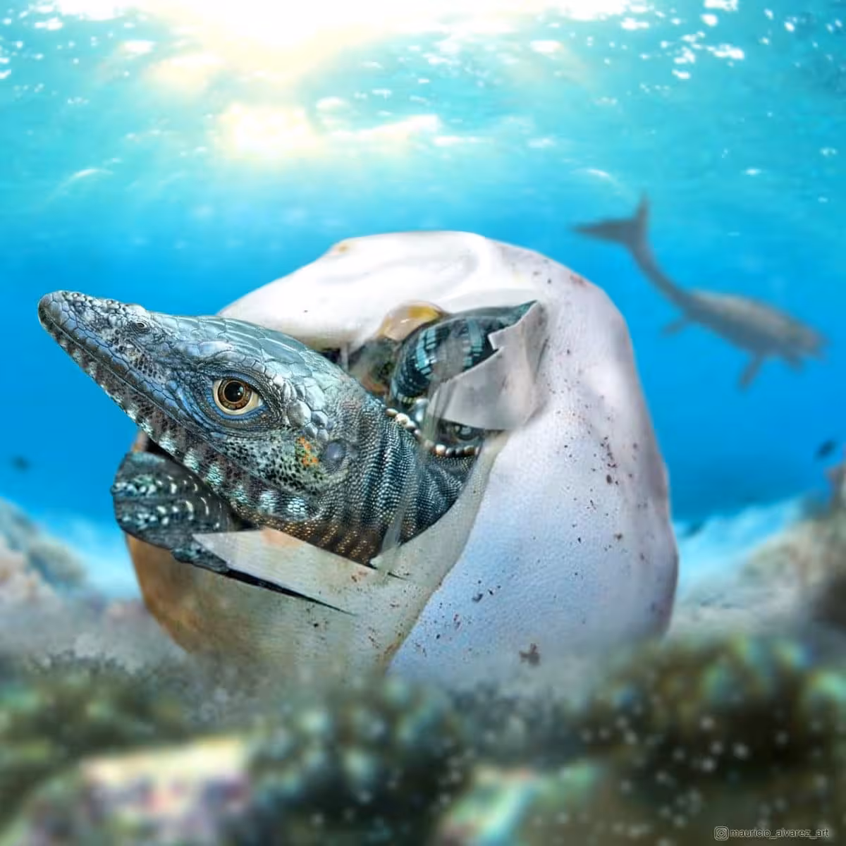 An Artist’s Impression Of A Newborn Mosasaur Hatching From An Egg.