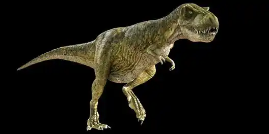 A Reconstruction Of Tarbosaurus Bataar