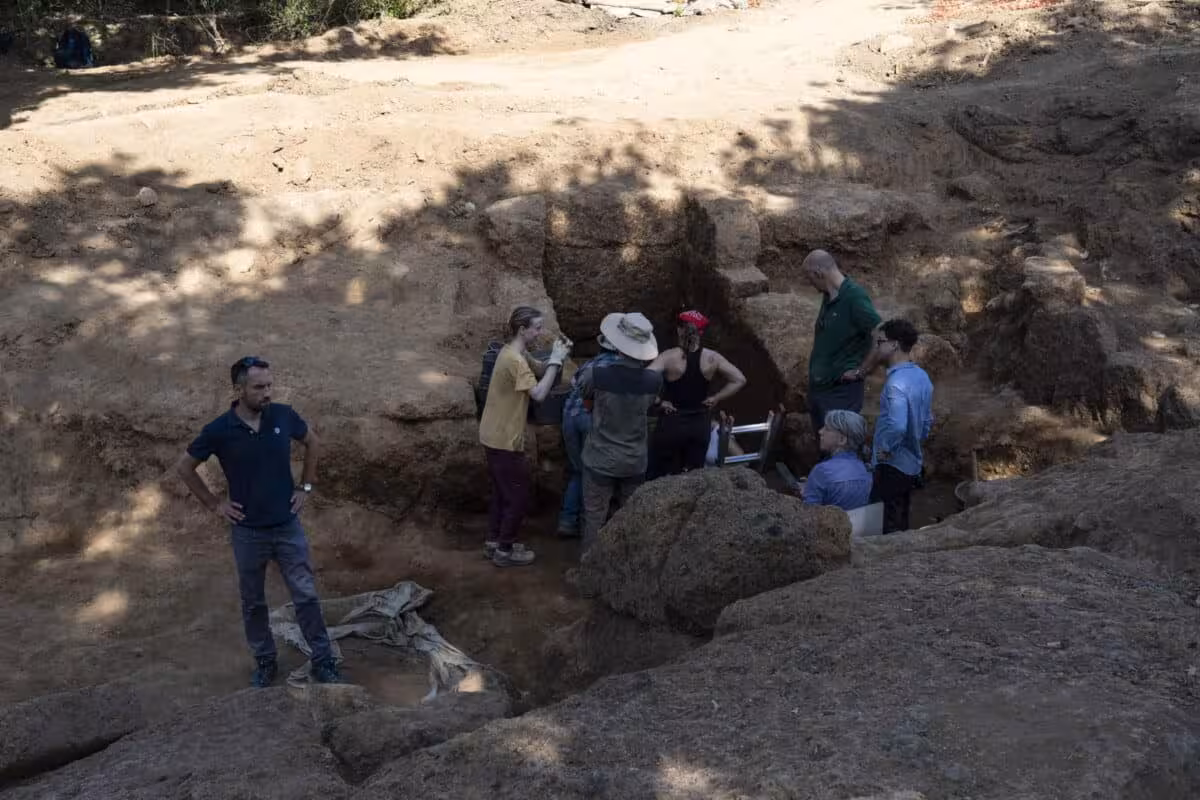 A Team Investigates A Newly Discovered Burial Site.