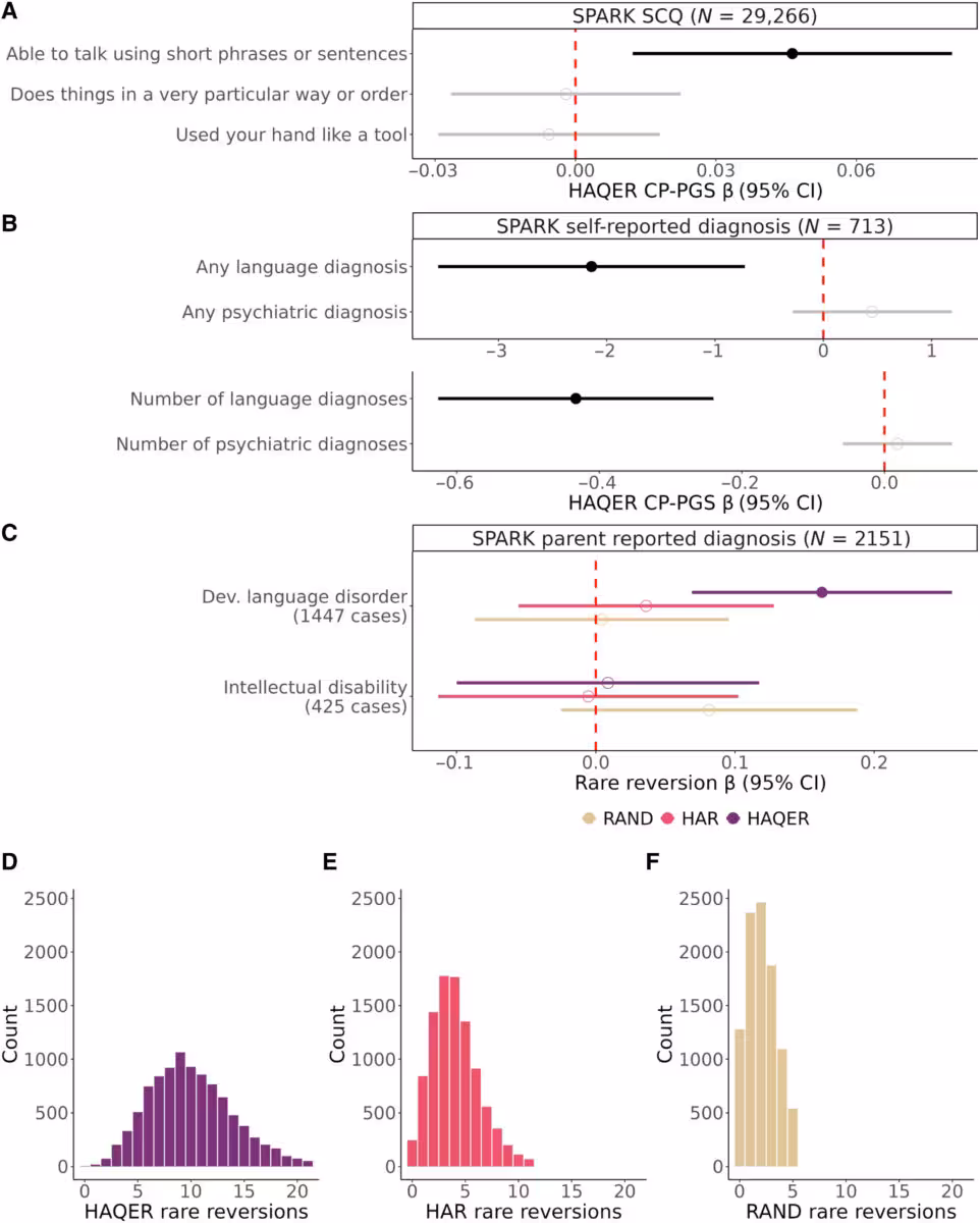 Haqer Variants Are Strongly Linked To Language Ability.