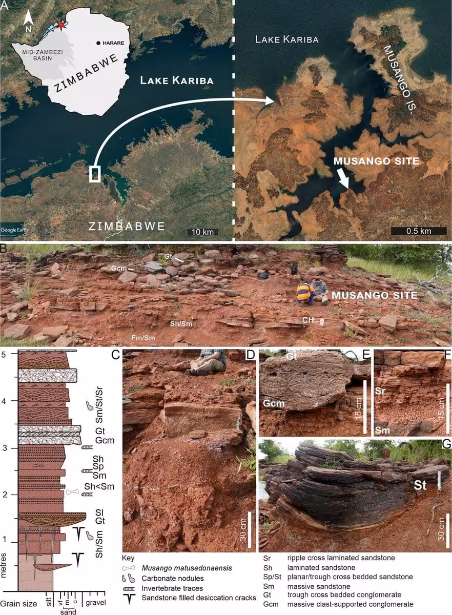Location And Geological Setting Of The Musango Dinosaur Discovery Site In Zimbabwe.