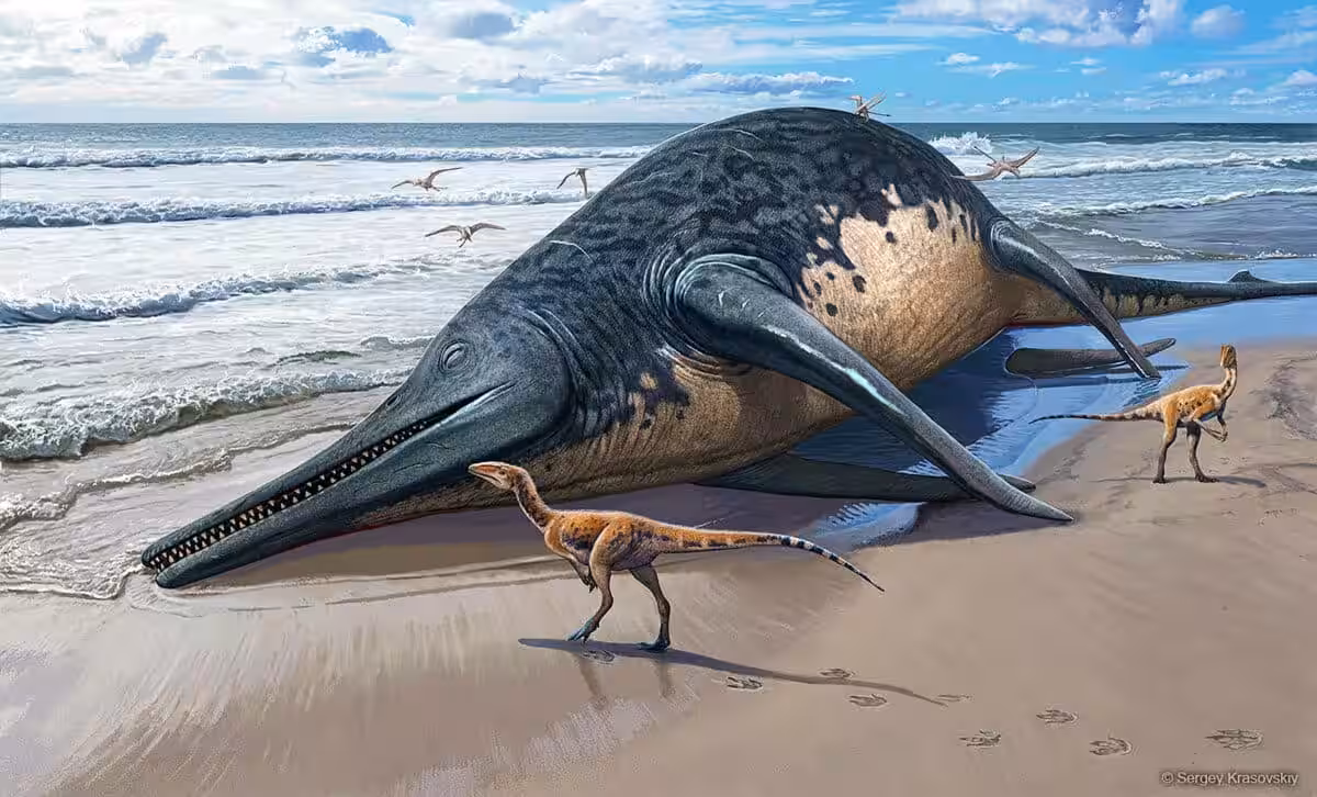 Fossil Remains Of Ichthyotitan Severnensis Discovered On A Beach