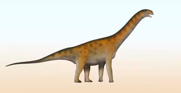 A Reconstruction Showing What Yantaloong Lini May Have Looked Like.