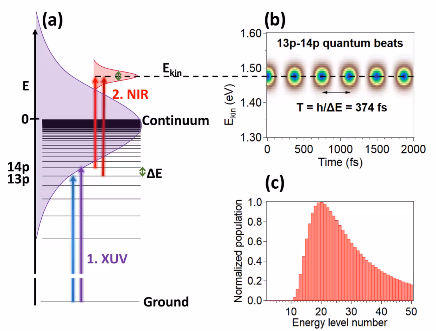 An ultrashort XUV pulse, shown in purple, with center energy close to the ionization threshold, is used for creating a coherent superposition of Rydberg states.