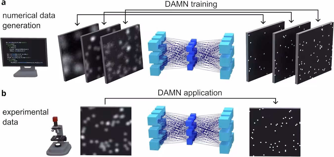 Fig. 1: Schematic representation of the device-agnostic modeling approach and its application to intensity images of point-like emitting sources. a The model is trained using numerically simulated data pairs comprising resolution-limited noisy images alongside their super-resolved counterparts. Each training sample represents a unique combination of underlying optical parameters, such as the width of the point spread function and the signal-to-noise ratio. b Following training, this model is applied to enhance the resolution of experimental images acquired using a real-life imaging system.