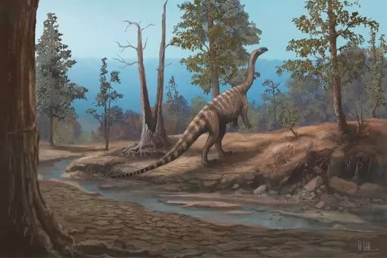 A Glimpse Of What Musango May Have Looked Like.