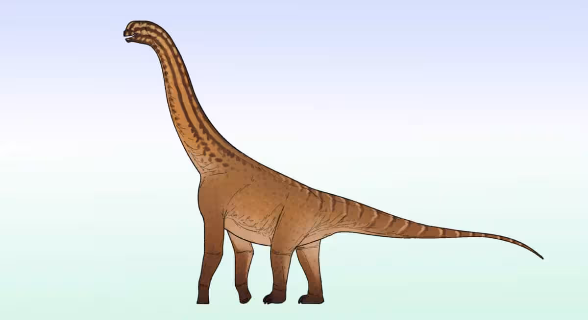The Reconstructed Appearance Of Ceratocaudia Antiqua,