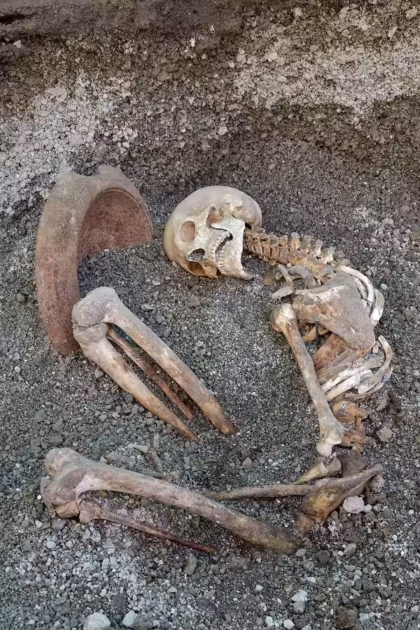 A Victim Of The Eruption Of Mount Vesuvius In 79 AD