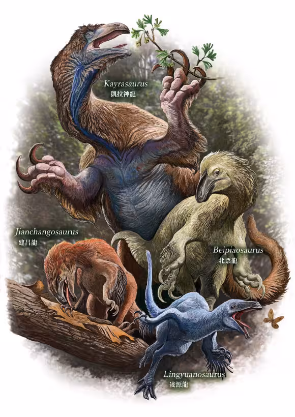 Illustration Showing Four Jehol Therizinosaurs With Different Body Shapes And Possible Lifestyles.
