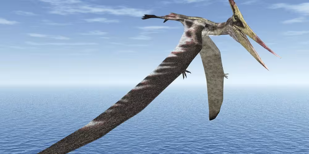 An Artist's Reconstruction Of A Pterosaur In Flight Over An Ancient Sea.