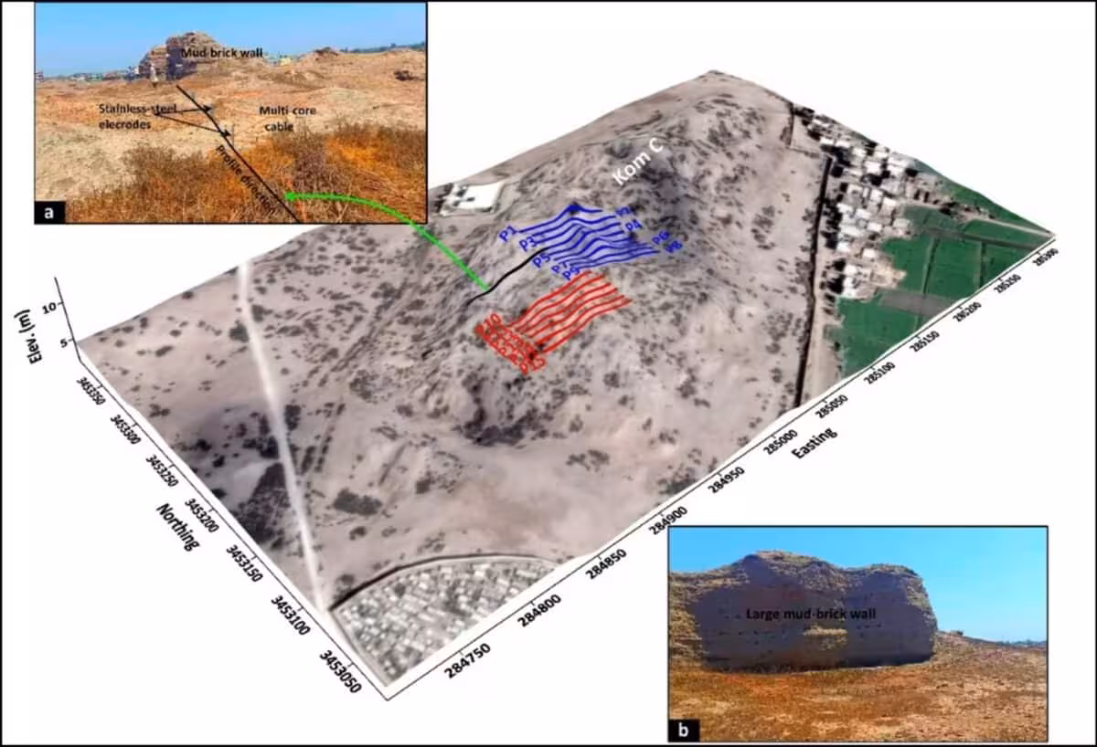 3d View Of The Buto Study Area Showing Ert Survey Profiles And Ancient Mudbrick Walls.