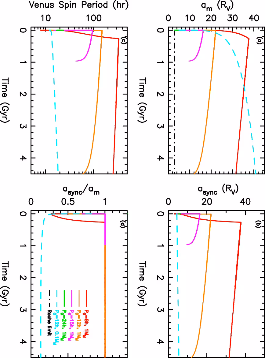 Tidal evolution of a hypothetical Venus moon in the constant-Q model (Q_V = 50, a_m,0 = 5 R_V).