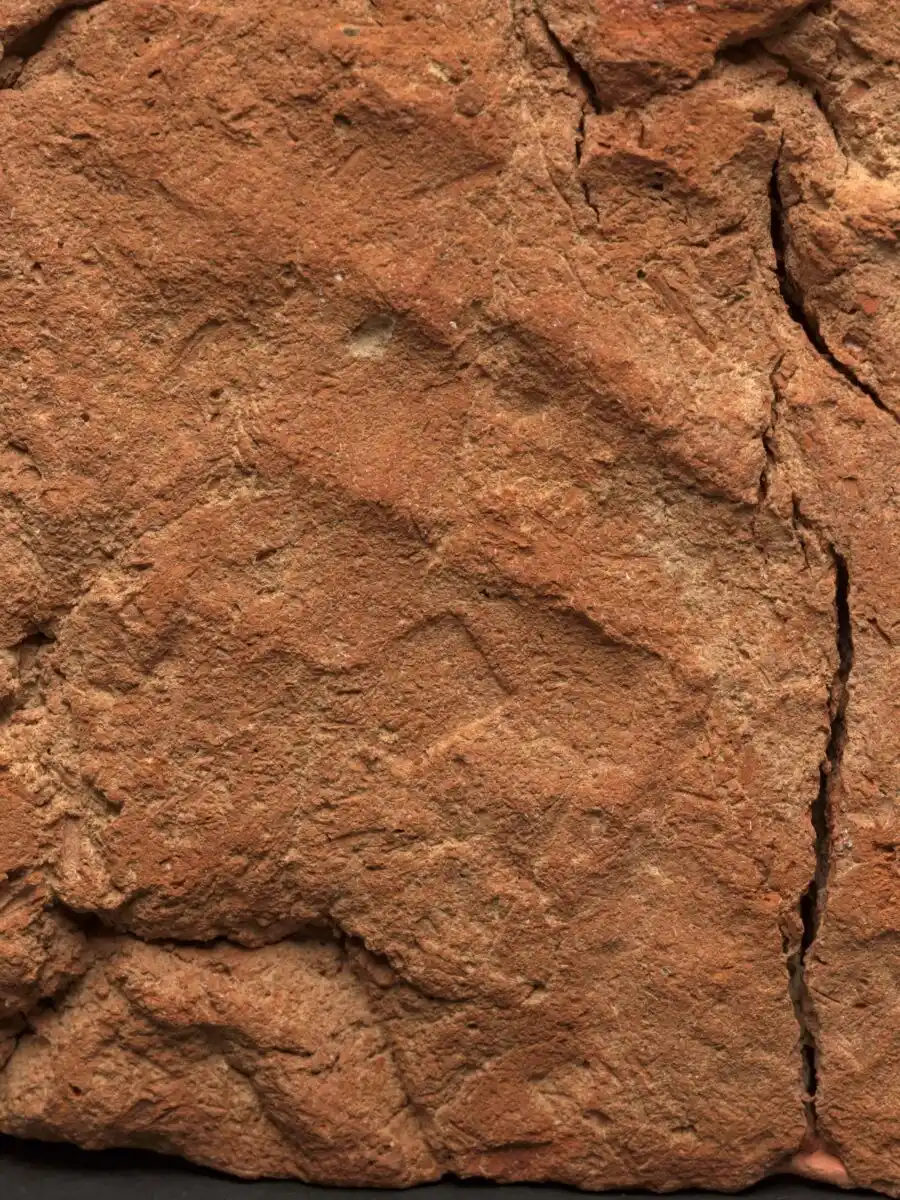 Finger Impressions From An Ancient Egyptian Potter