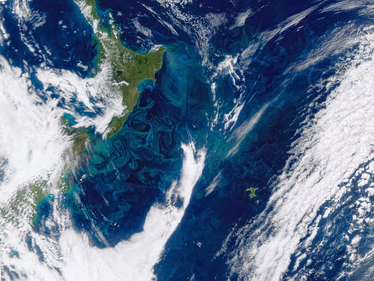 A Summer Phytoplankton Bloom Is Seen Off The East Coast Of New Zealand