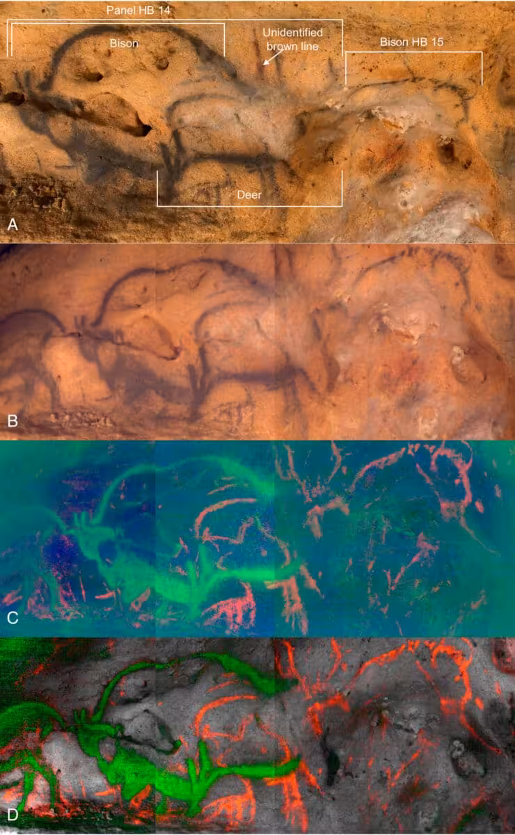Advanced Imaging Reveals Bison And Deer Drawings