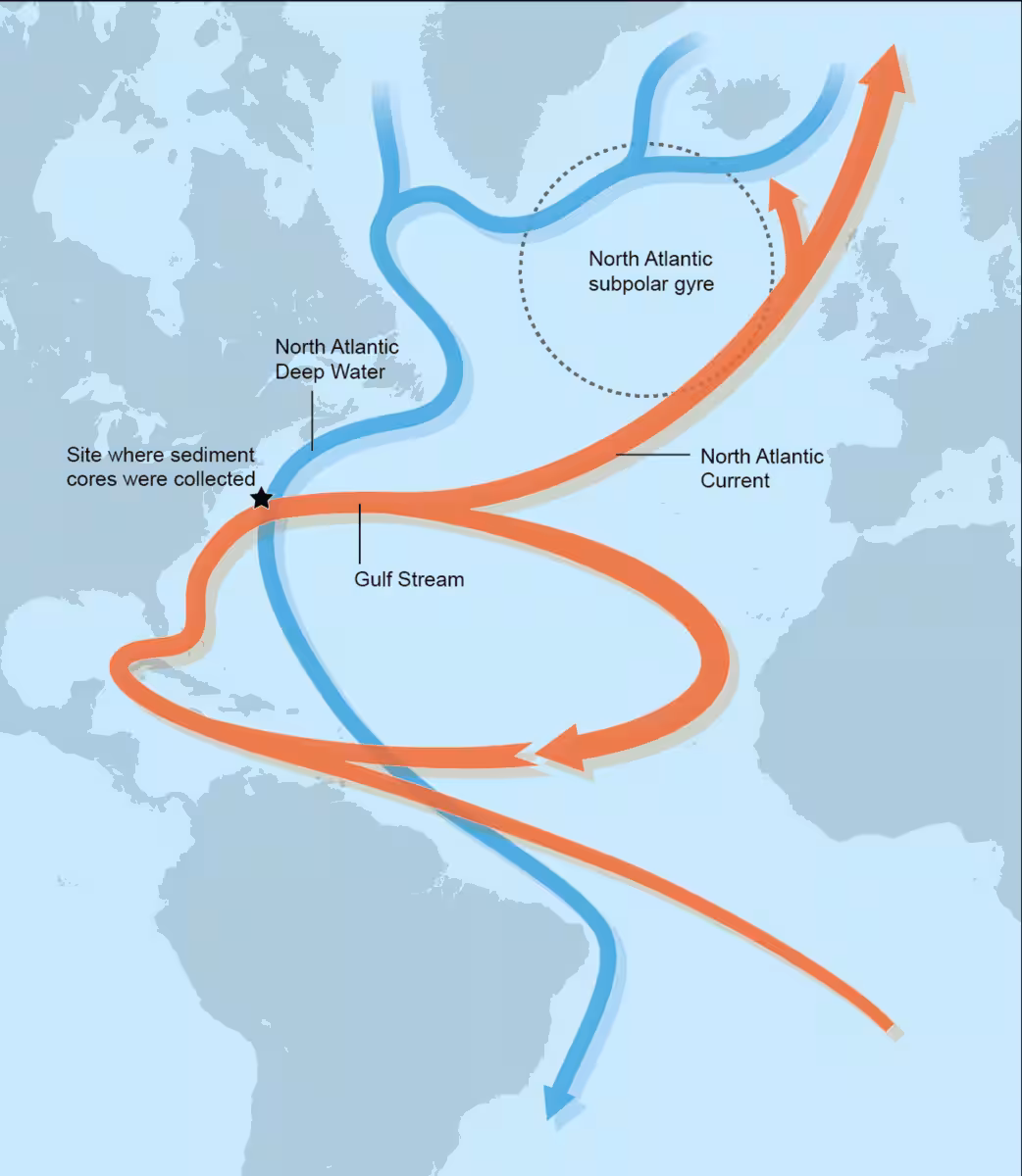 The Atlantic Meridional Overturning Circulation (amoc) And The Subpolar Gyre, Where Ocean Waters Cool When The Amoc Weakens