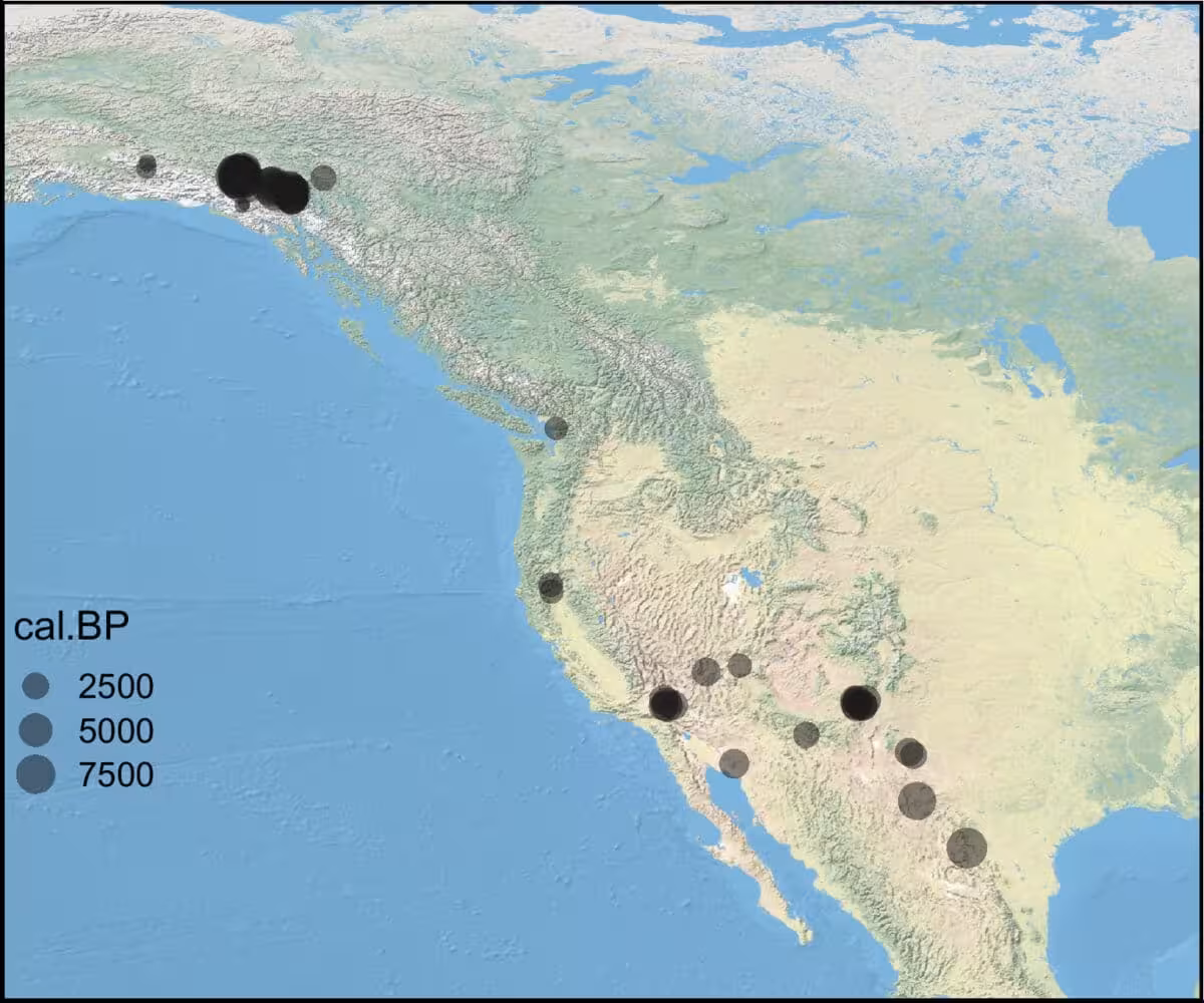 Pnas.2607964123fig03