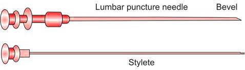 Figure 1182.3 Lumbar puncture needle
