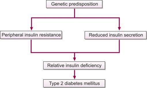 Figure 1191.3 Pathogenesis of type 2 diabetes mellitus
