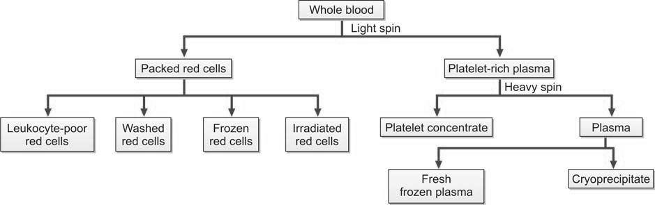 Figure 1198.1 Blood components are prepared from a unit of whole blood