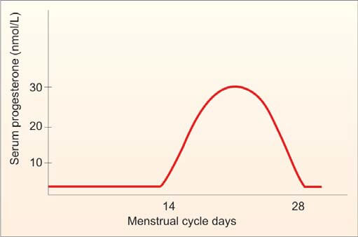 Serum progesterone during normal menstrual cycle