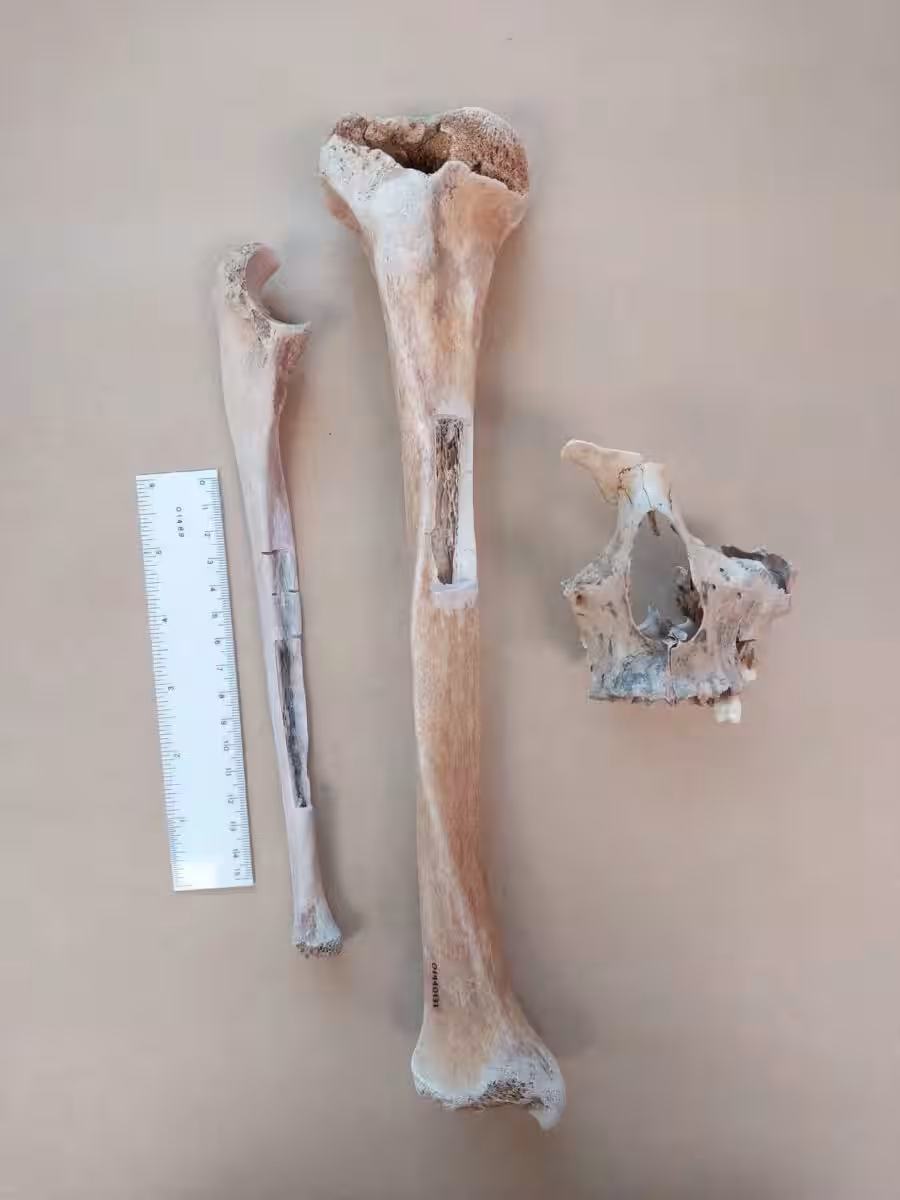 Researchers Found The Captain’s Great Great Granddaughter