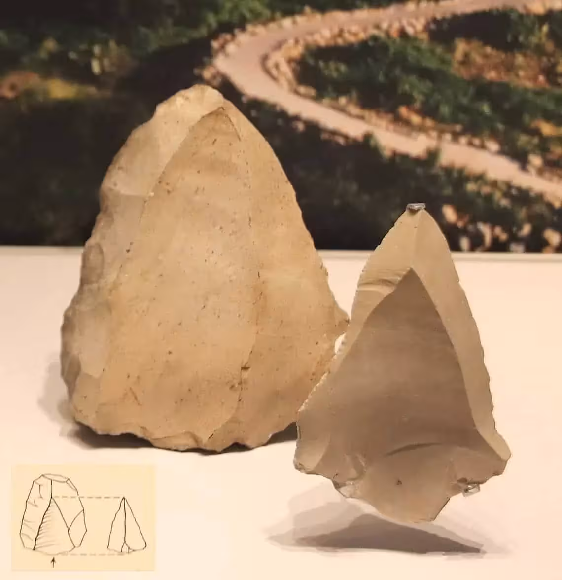 Tools Made Using Levallois Technology