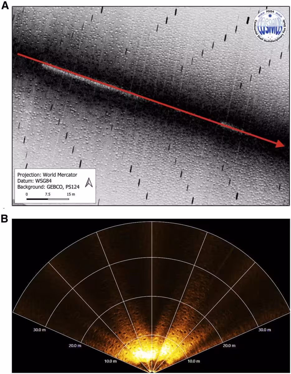 Seafloor Mapping Data Revealing The Extent Of An Antarctic Icefish Breeding Area.