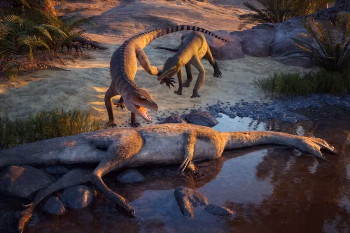 A Glimpse Of Life At Ghost Ranch 210 Million Years Ago, With Eosphorosuchus Lacrimosa (left) And Hesperosuchus Agilis (right) Near A Coelophysis Carcass.