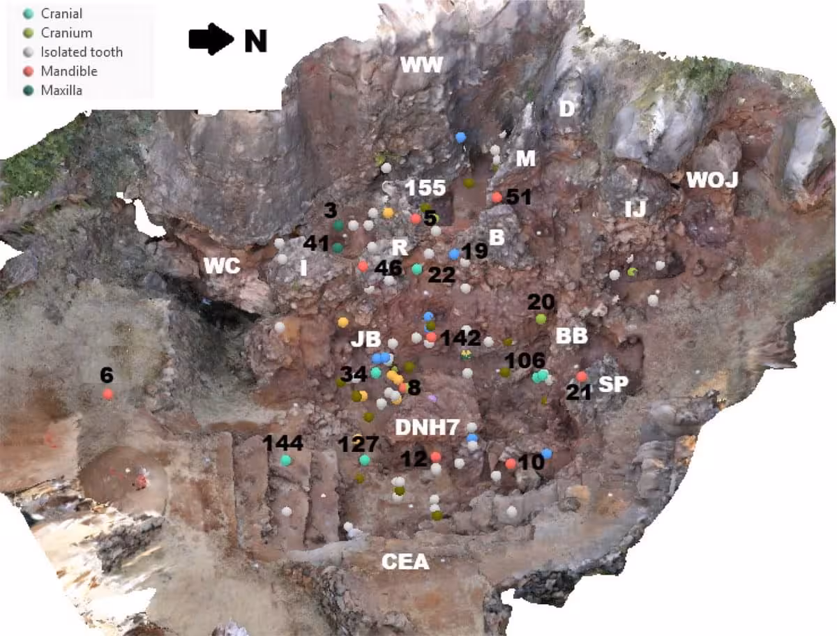 Aerial View Of A South African Cave Showing Fossil Discovery Locations.