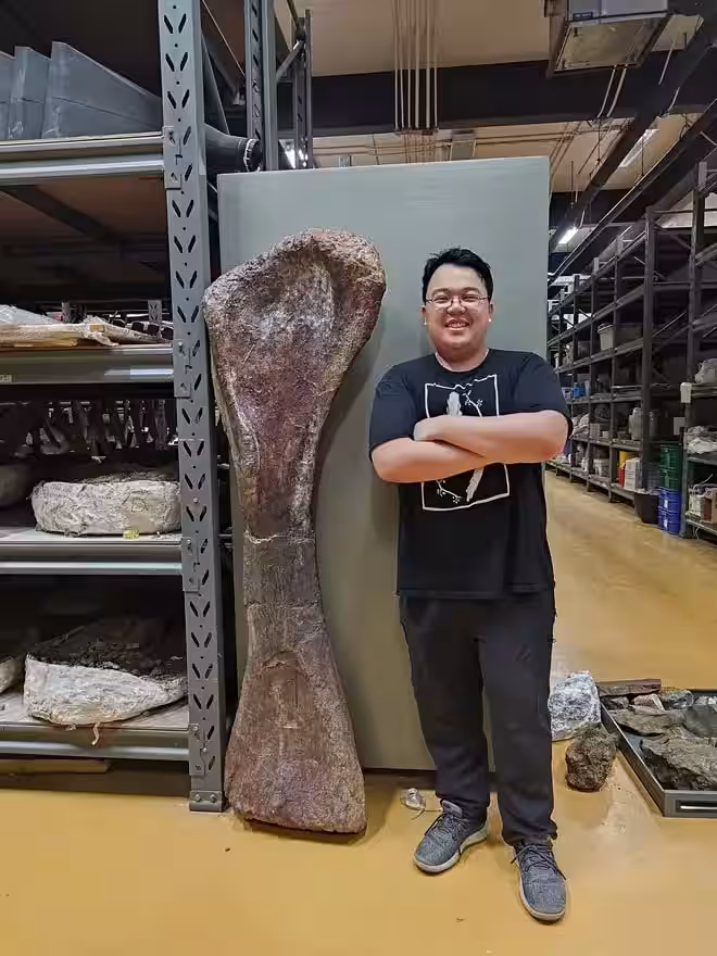 Thitiwoot Sethapanichsakul Poses With The Massive Leg Bone Of Nagatitan Chaiyaphumensis.
