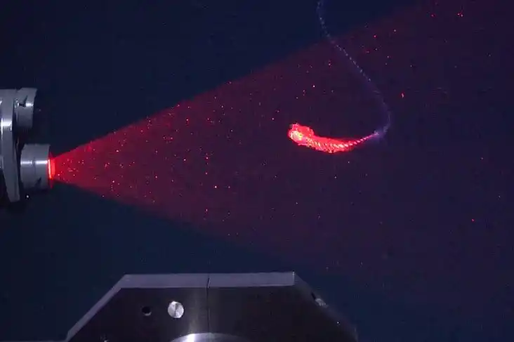 This Siphonophore Was Scanned At A Depth Of 350 Meters Using Mbari's Deeppiv System.