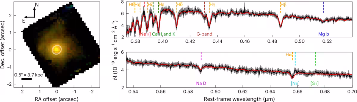 Spectrum And Spatial Map Of The Galaxy Xmm Vid1 2075 Observed By The James Webb Space Telescope