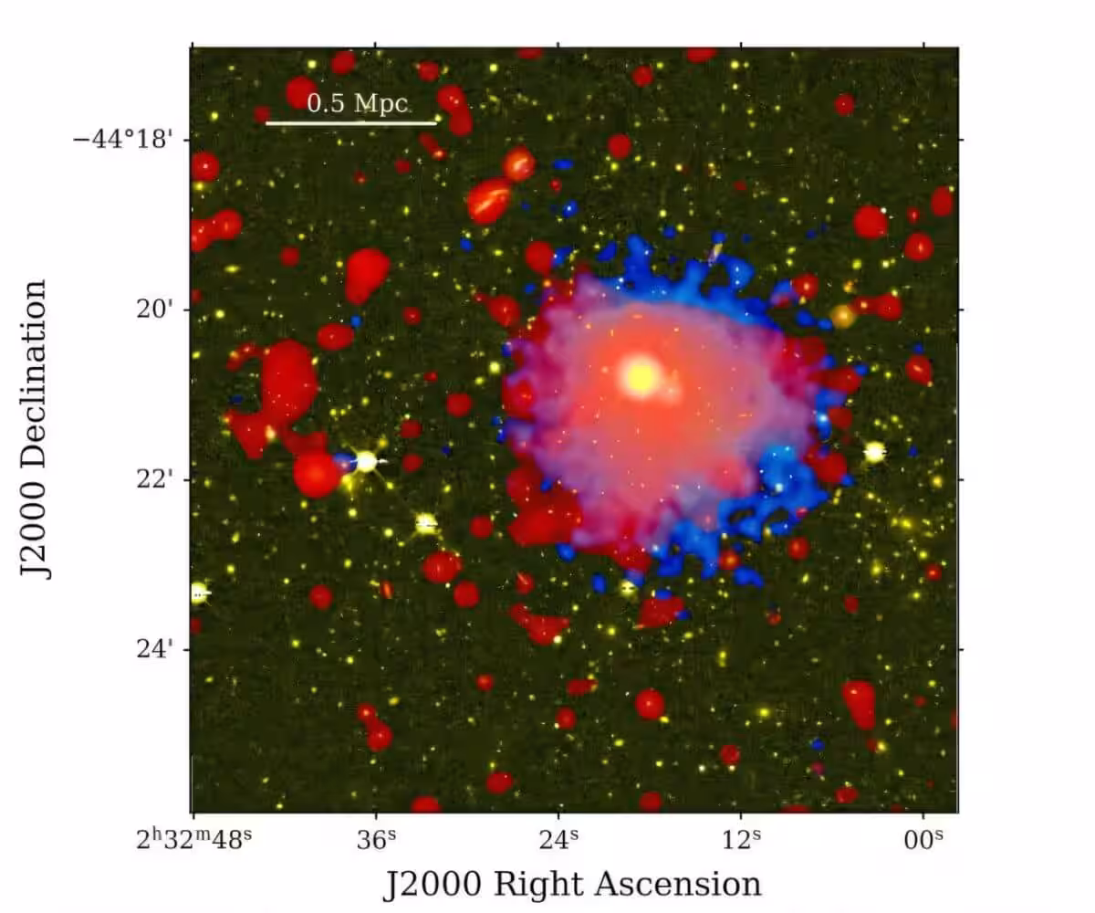 Giant Radio Halo Revealed In Multiwavelength Image Of Rxcj0232–4420