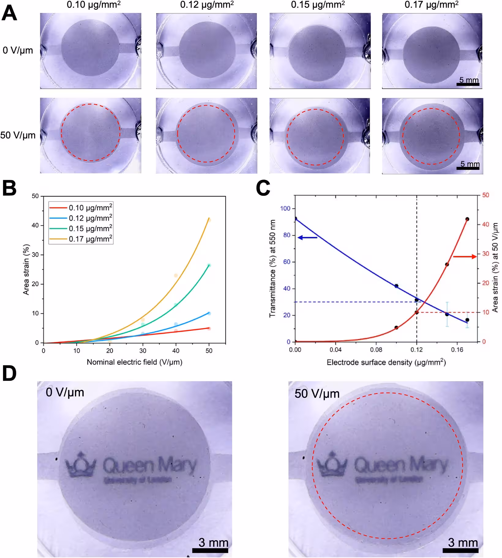 Actuation performance of a dielectric elastomer membrane with spray-coated rGO electrodes, forming a planar DEA.