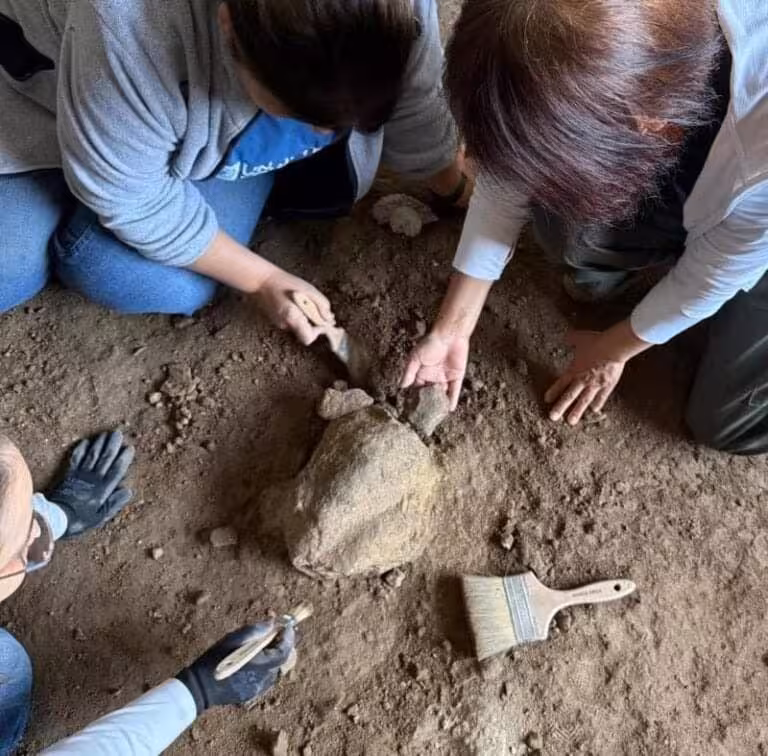 Archaeologists Carefully Excavate A Large Stone Object Using Brushes And Tools.