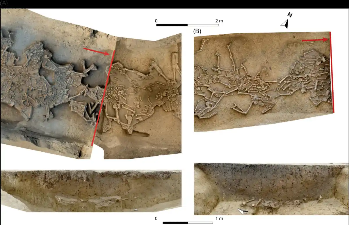 Archaeological Overview Showing The Concentration Of Human Remains And The Main Ditch Sections
