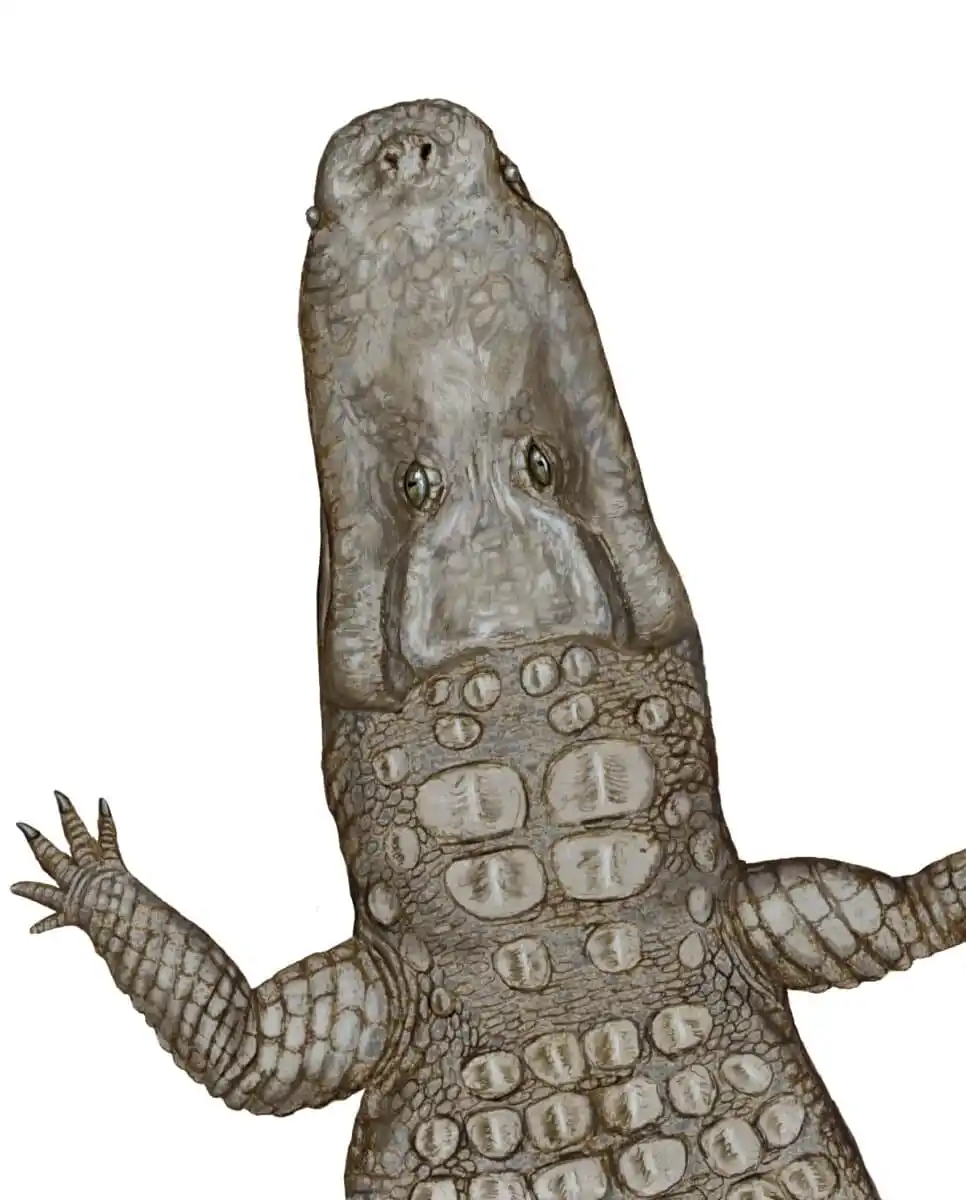 How Crocodylus Thorbjarnarsoni May Have Looked In Life