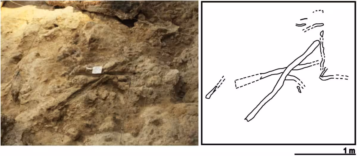Ancient Wooden Structure Found In Level I
