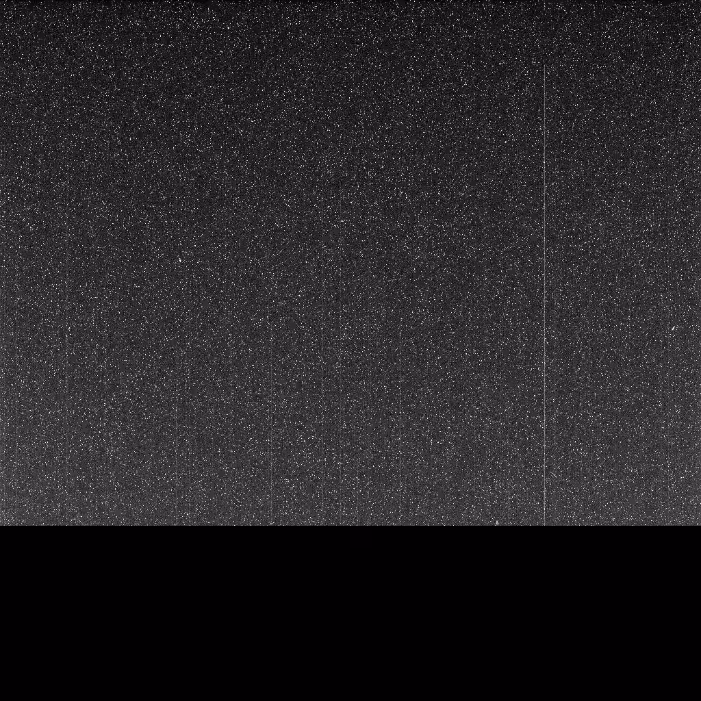 22339 Pia22929 Web