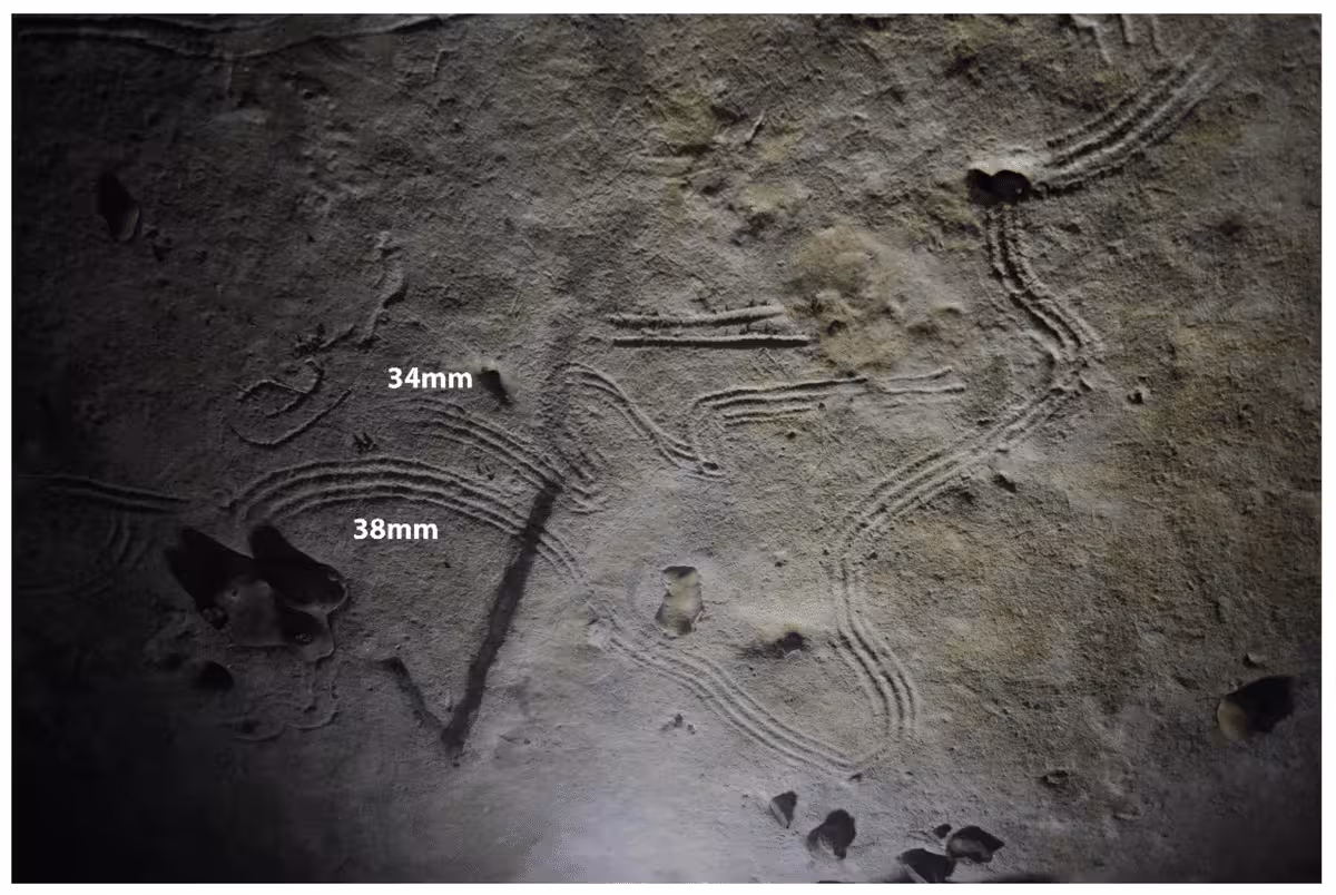 Ancient Finger Markings Preserved On The Walls Of Rouffignac Cave